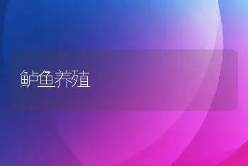 鲈鱼养殖