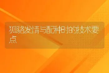 狐貉发情与配种时的技术要点