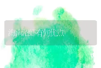 海南沼虾有何优点