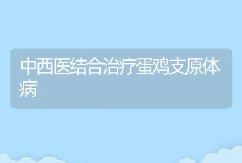 中西医结合治疗蛋鸡支原体病