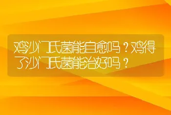 鸡沙门氏菌能自愈吗？鸡得了沙门氏菌能治好吗？