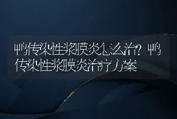 鸭传染性浆膜炎怎么治？鸭传染性浆膜炎治疗方案