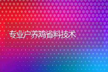 专业户养鸡省料技术