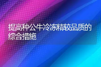 提高种公牛冷冻精较品质的综合措施