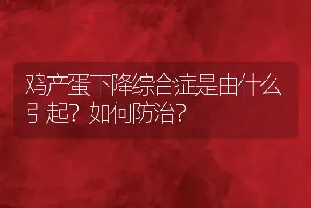 鸡产蛋下降综合症是由什么引起？如何防治？