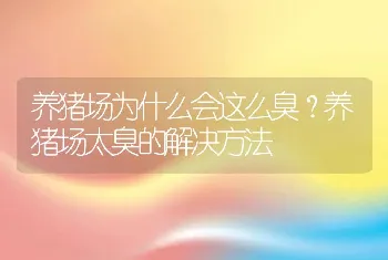 猪病防治|猪也会得胃溃疡，如何预防与治疗？