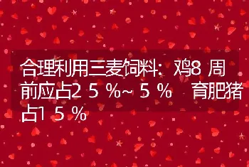 合理利用三麦饲料:鸡8周前应占25%~5% 育肥猪占15%