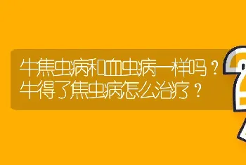 牛焦虫病和血虫病一样吗？牛得了焦虫病怎么治疗？