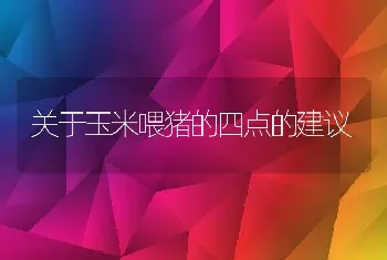 肉鸡养殖的误区探讨