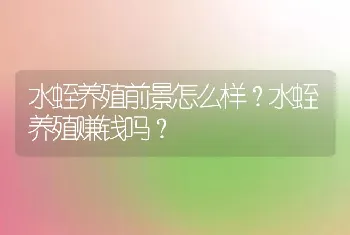 猪蹄裂病怎么治疗？母猪蹄裂的治疗方案