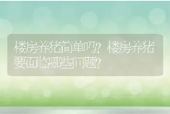 楼房养猪简单吗？楼房养猪要面临哪些问题？