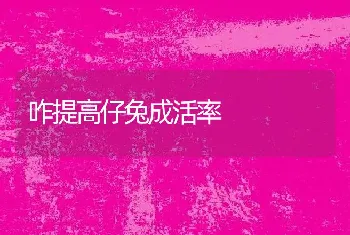 咋提高仔兔成活率