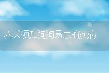 养犬须知狗狗易患的疾病