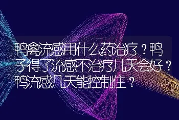 鸭禽流感用什么药治疗？鸭子得了流感不治疗几天会好？鸭流感几天能控制住？