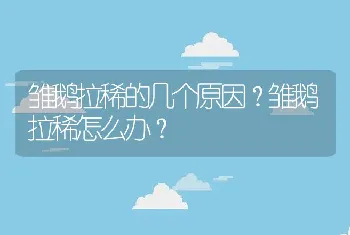 雏鹅拉稀的几个原因？雏鹅拉稀怎么办？