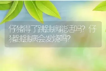 仔猪得了跳跳病能活吗？仔猪跳跳病会发烧吗？