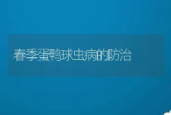 春季蛋鸭球虫病的防治