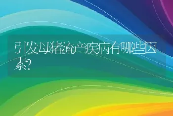 引发母猪流产疾病有哪些因素？