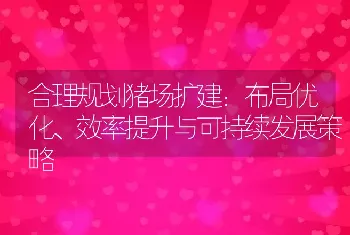 合理规划猪场扩建：布局优化、效率提升与可持续发展策略