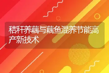 秸秆养藕与藕鱼混养节能高产新技术