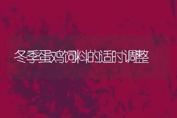 冬季蛋鸡饲料的适时调整