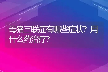 母猪三联症有哪些症状？用什么药治疗？