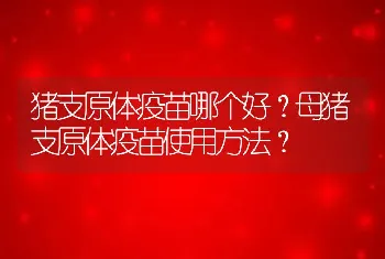 猪支原体疫苗哪个好？母猪支原体疫苗使用方法？