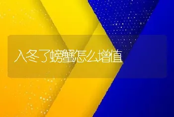 入冬了螃蟹怎么增值