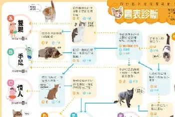 猫猫的六大行为看你在它心中的地位[详解]