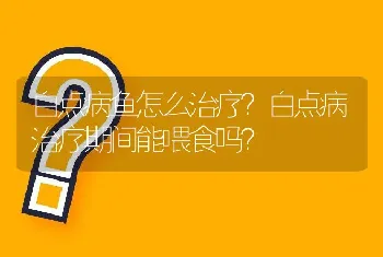 白点病鱼怎么治疗？白点病治疗期间能喂食吗？