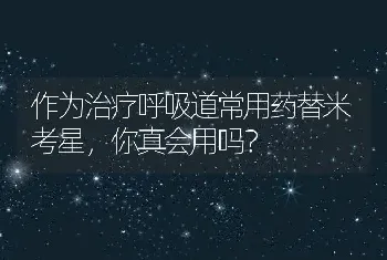 作为治疗呼吸道常用药替米考星，你真会用吗？