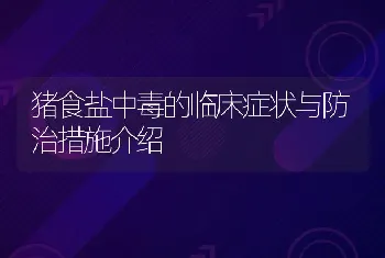 猪食盐中毒的临床症状与防治措施介绍