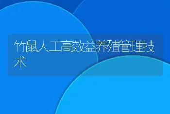 竹鼠人工高效益养殖管理技术