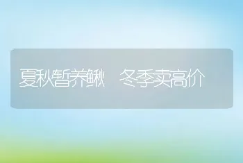 夏秋暂养鳅 冬季卖高价