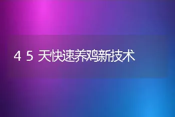 45天快速养鸡新技术