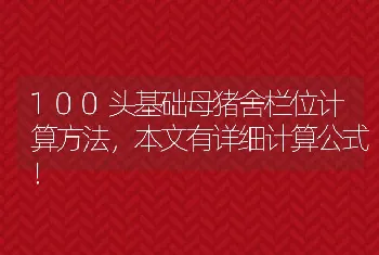 100头基础母猪舍栏位计算方法，本文有详细计算公式！