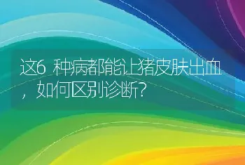 这6种病都能让猪皮肤出血，如何区别诊断？