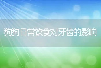 狗狗日常饮食对牙齿的影响