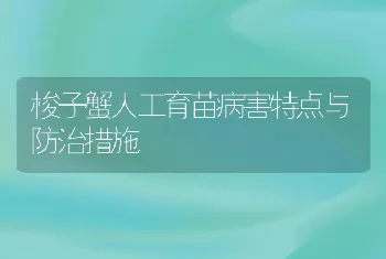 梭子蟹人工育苗病害特点与防治措施