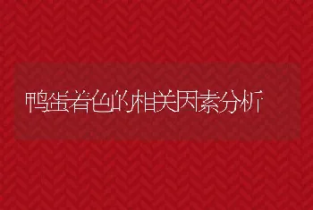 鸭蛋着色的相关因素分析