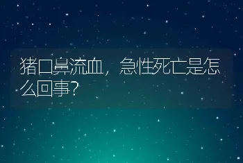 猪口鼻流血，急性死亡是怎么回事？