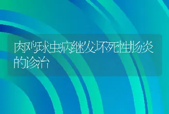 肉鸡球虫病继发坏死性肠炎的诊治