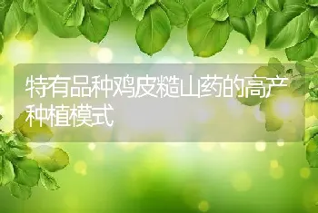 特有品种鸡皮糙山药的高产种植模式