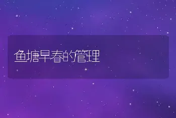 鱼塘早春的管理