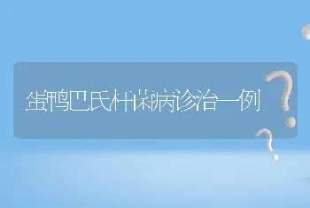 蛋鸭巴氏杆菌病诊治一例