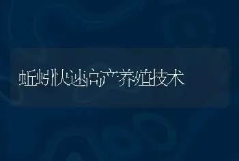 蚯蚓快速高产养殖技术