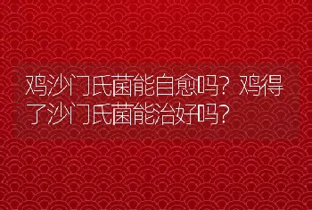 鸡沙门氏菌能自愈吗？鸡得了沙门氏菌能治好吗？