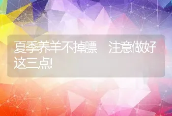 奶牛跛足的原因与预防方法！