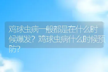 鸡球虫病一般都是在什么时候爆发？鸡球虫病什么时候预防？