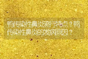 鸭传染性鼻炎流行特点？鸭传染性鼻炎的发病原因？